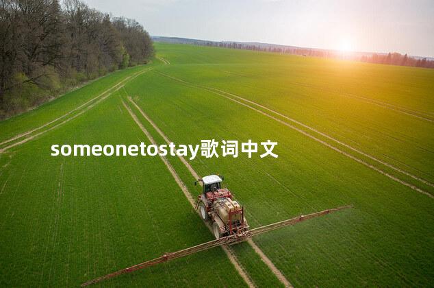 someonetostay歌词中文 someonetostay是谁唱的